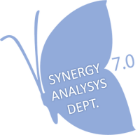 Synergy 7.0 - consulenza manageriale direzionale