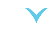 Fm traders limited