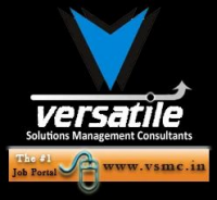 Versatile solutions management consultant,lucknow