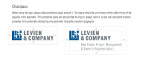 Levien & Associates