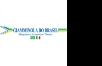Giamminola do brasil
