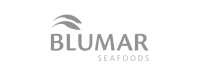 Bluemar transportes e logistica ltda