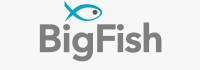 Big fish golf international pte ltd
