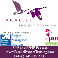 Parallel project training