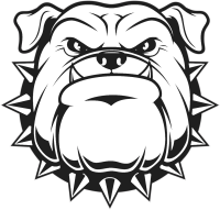 Bulldog it services limited