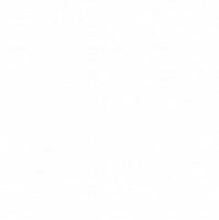 Chepstow musical youth theatre ltd
