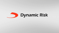 Dynamic risk strategies limited