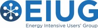 Energy intensive users group