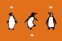 Penguin media