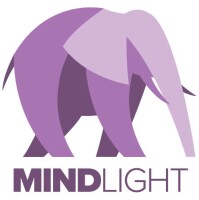 Mindlight group, llc