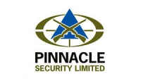 Pinnacle security
