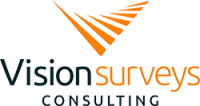 Vision surveys consulting