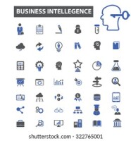Integrated business intelligence