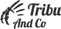 Tribu and co - agence web
