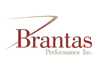 Brantas international technology ltd