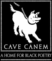 Cave canem architecture