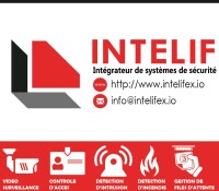 Intelifex systems