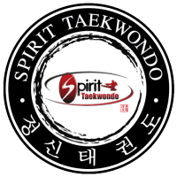 Spirit tkd limited