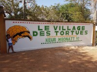 Le village des tortues