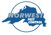 Nor west pest control