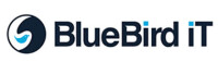 Bluebird it solutions inc.