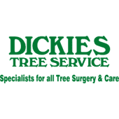 Dickies tree service