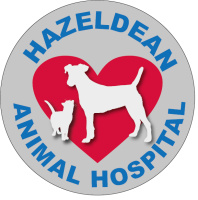 Hazeldean animal hospital