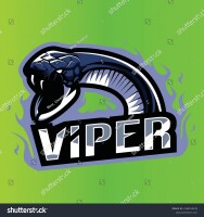 Viper team - it consulting