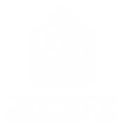 Presidencia municipal de irapuato