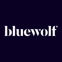 Bluewolf group