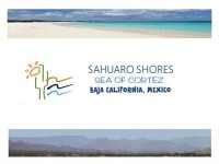 Sahuaro shores