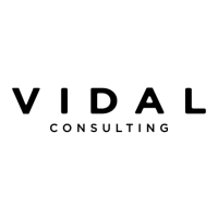 Vidal consultores