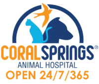 Coral springs animal hospital
