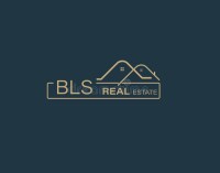 B.l.s. consulting