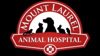 Mount laurel animal hospital