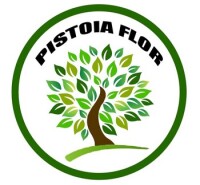 Pistoia futura - laboratorio per la programmazione strategica della provincia di pistoia