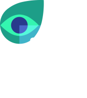 Carbon market watch