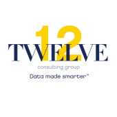 Twelve consulting group