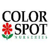 Color spot nursery