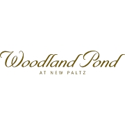 Woodland pond at new paltz