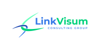 Linkvisum consulting group