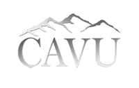 Cavu international
