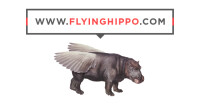 Flying hippo brand + digital