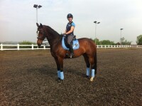 WITHAM VILLA RIDING CENTRE LIMITED