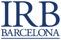 Irb barcelona