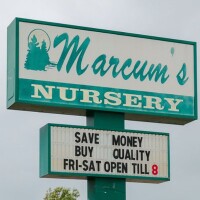Marcum's nursery