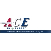 Air combat effectiveness consulting group (ace group)