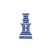 Migdal group