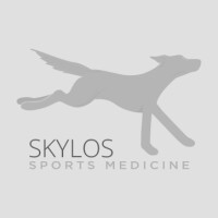 Skylos sports medicine