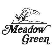 Meadow green rehabilitation and nursing center